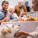 Woman pets dog at Thanksgiving table. Thanksgiving safety tips: Choose dog-safe decorations, make sure you have plenty of dog-safe food on hand, and put the trash out.