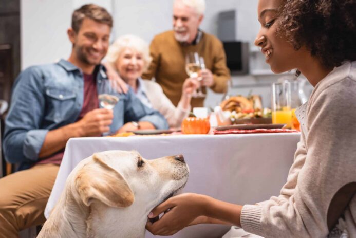 Thanksgiving safety tips: Choose dog-safe decorations, make sure you have plenty of dog-safe food on hand and put the trash out. Woman pets dog at Thanksgiving table. Photo illustration for Thanksgiving safety tips post.