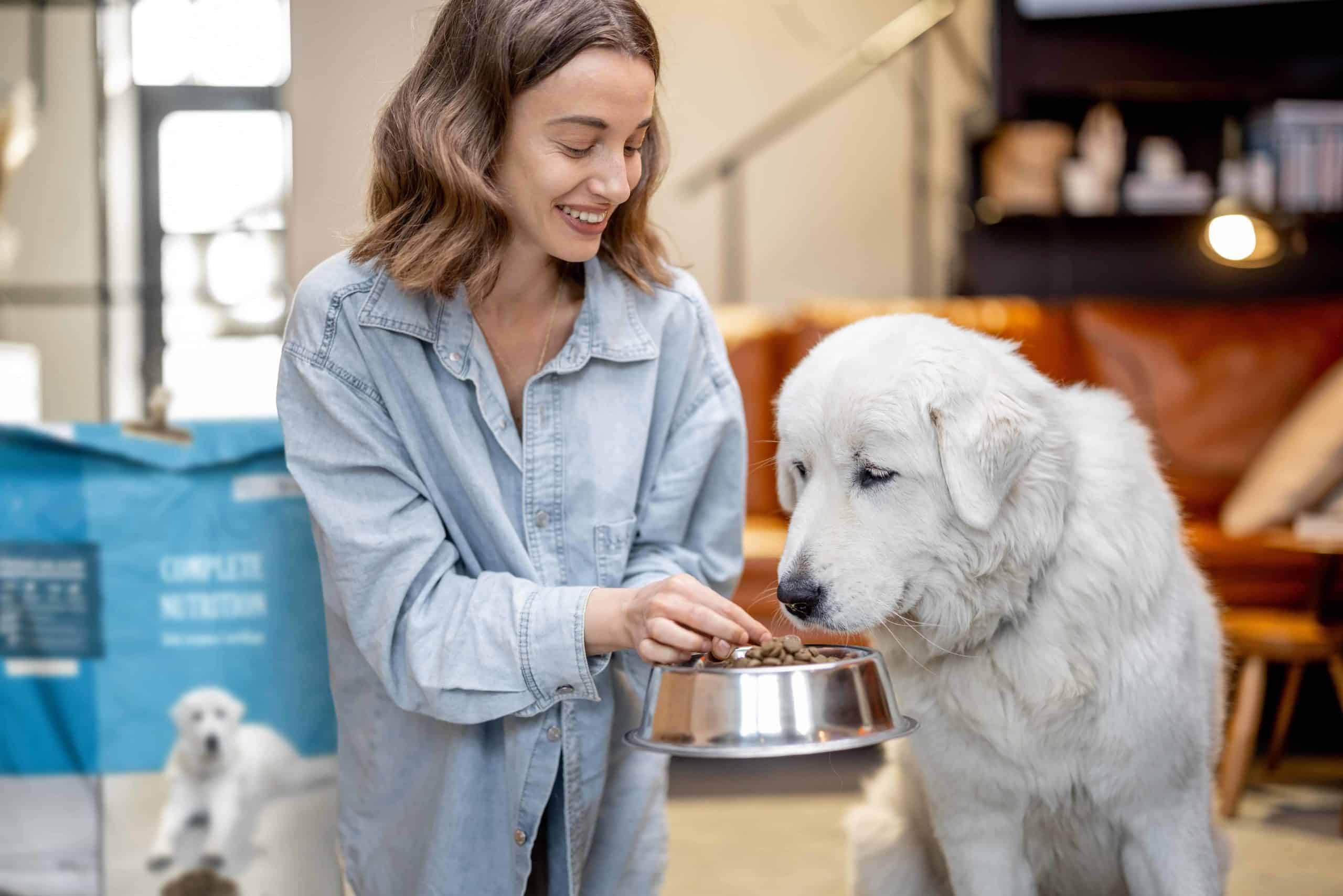 Woman feeds her white Labrador Retriever dog food. Before you buy pet food online, research the brand, search for coupons, compare prices, and review shipping costs.