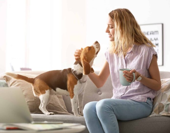 Woman pets beagle to keep him away from coffee cup. Photo for human foods dogs can't eat post.