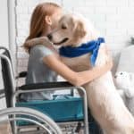 Service dog hugs girl in wheelchair. Choose gifts for service dogs that show your appreciation to your loved one’s service dog for birthdays or other special occasions.