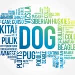 Choosing the right dog diagram of dog breed names. Before choosing the right dog for you, be sure to do your research and find a breed that matches both your lifestyle and personality.