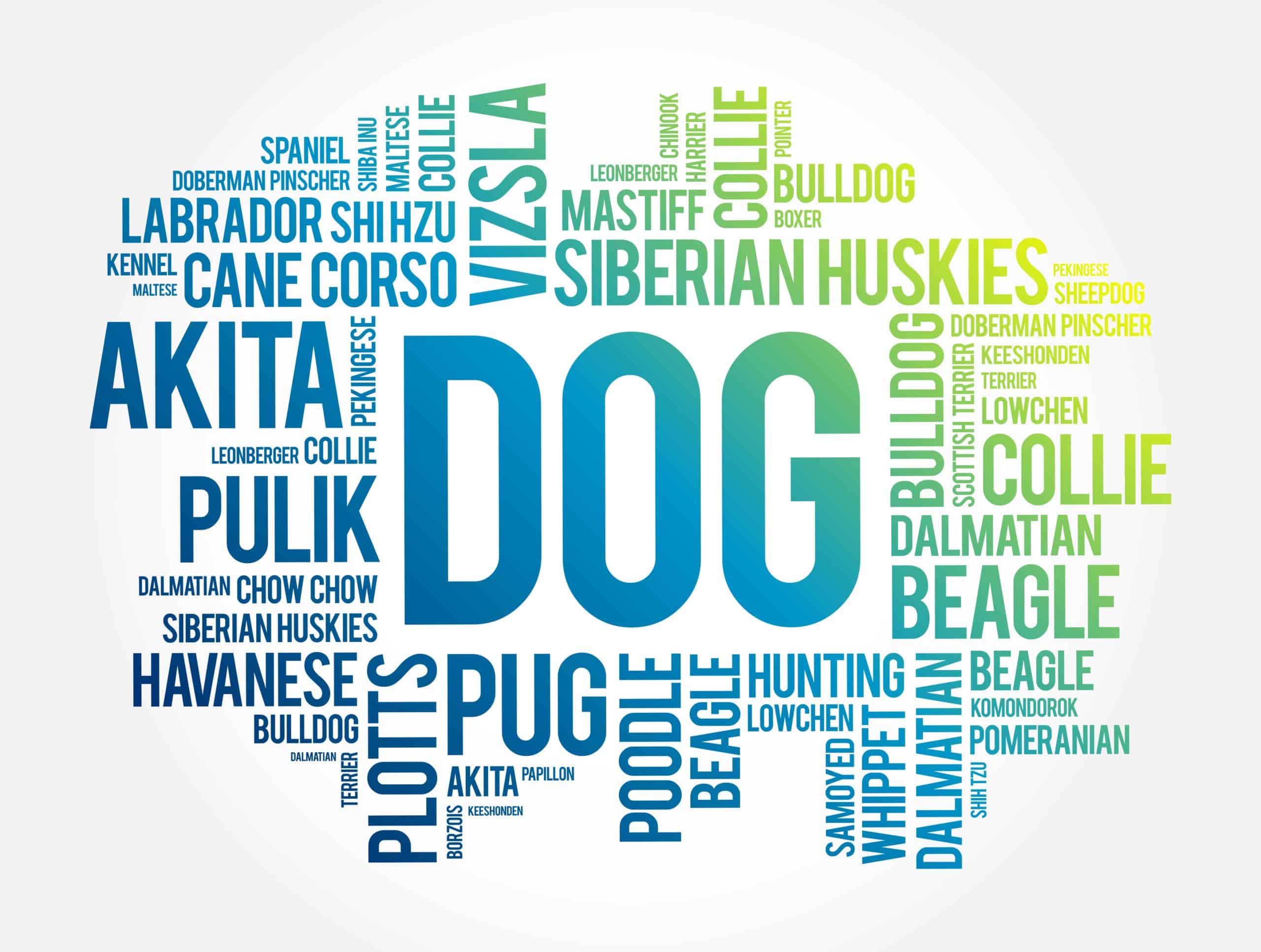 Choosing the right dog diagram of dog breed names. Before choosing the right dog for you, be sure to do your research and find a breed that matches both your lifestyle and personality.