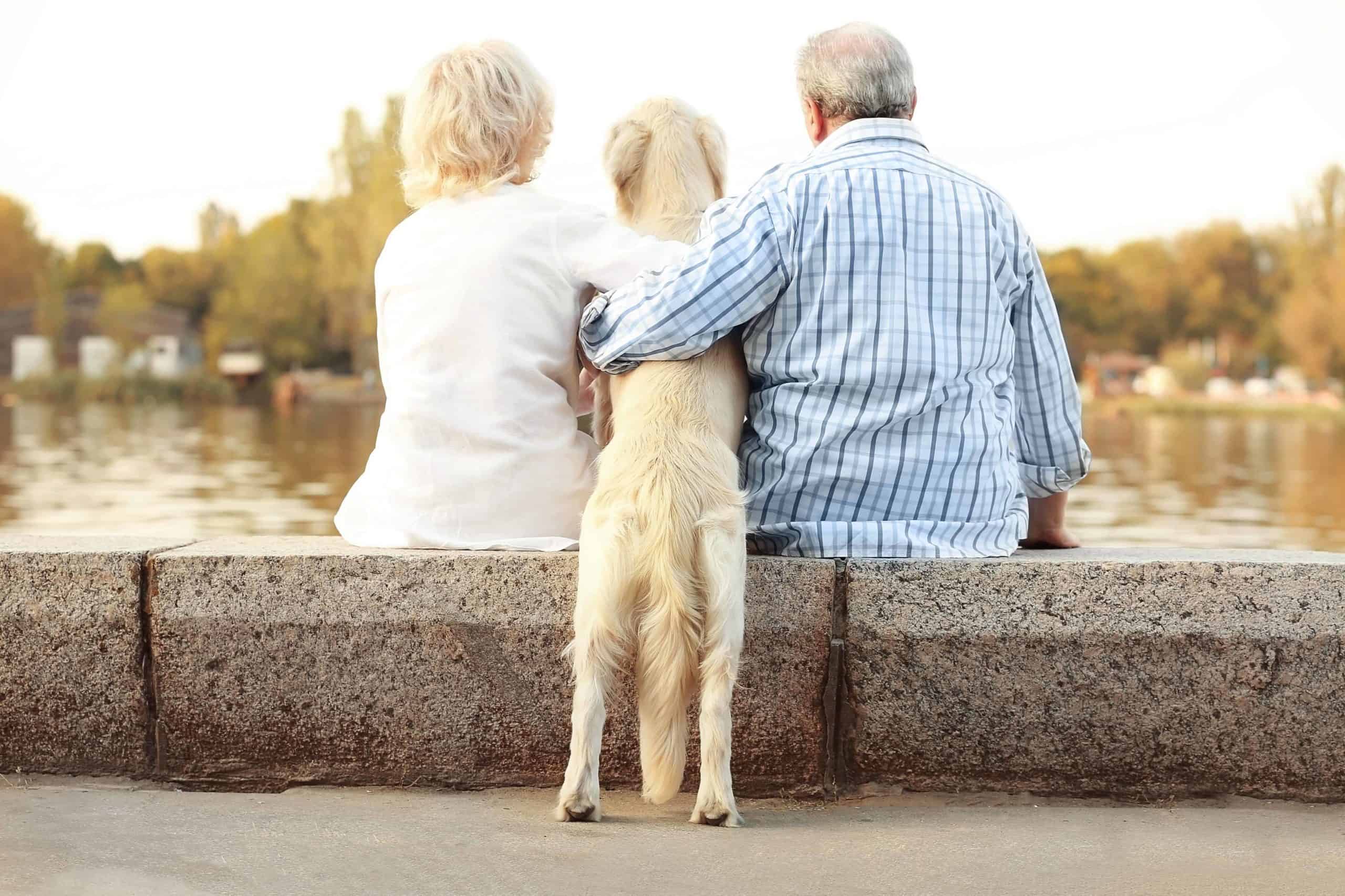 Senior couple snuggle with Golden Retriever. If you’re a senior who’s been longing for companionship but uncertain whether you can currently commit to walking a dog, don’t despair. Dog ownership doesn’t have to be a lost cause for you.