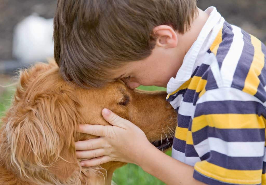 How to help your kids navigate the death of the family dog