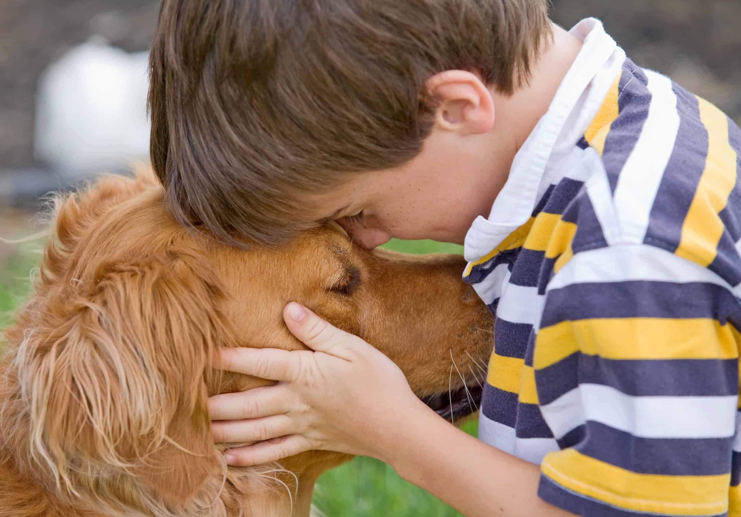 Boy kisses Golden Retriever. When a family dog dies often is the first time a child experiences death or has to think about what death means.