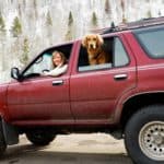 Woman travels in snowy mountains with her dog in an SUV. Only you can choose among the best cars for pet lovers. Make your decision based on your needs and your pet's unique personality.