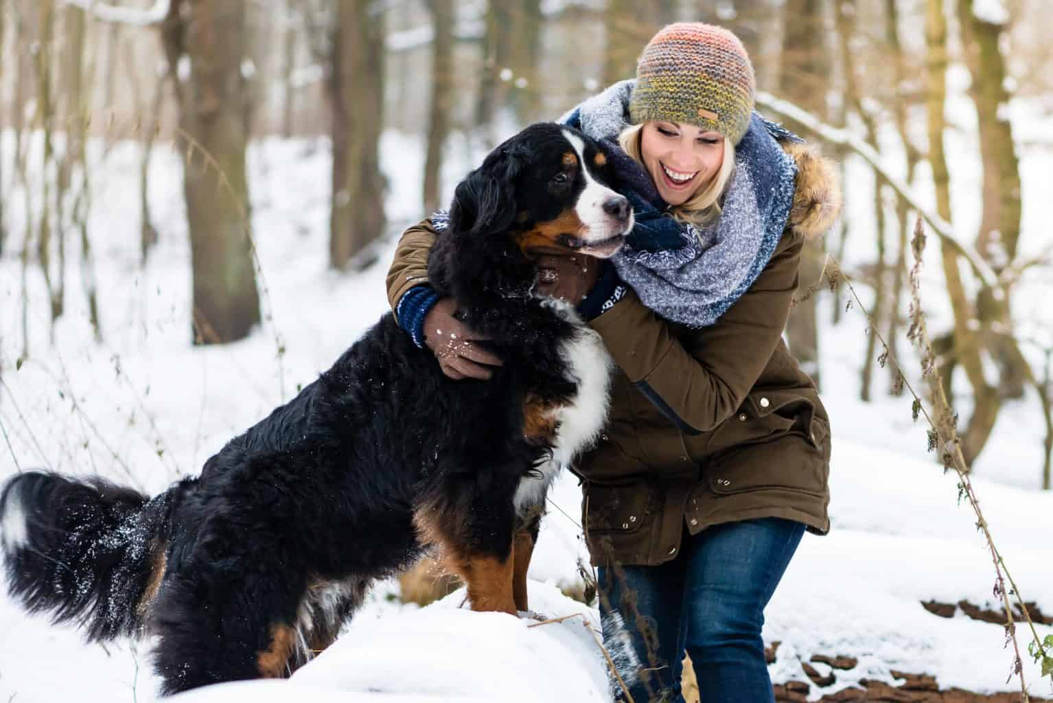 Woman hugs Bernese Mountain Dog in snowy scene.