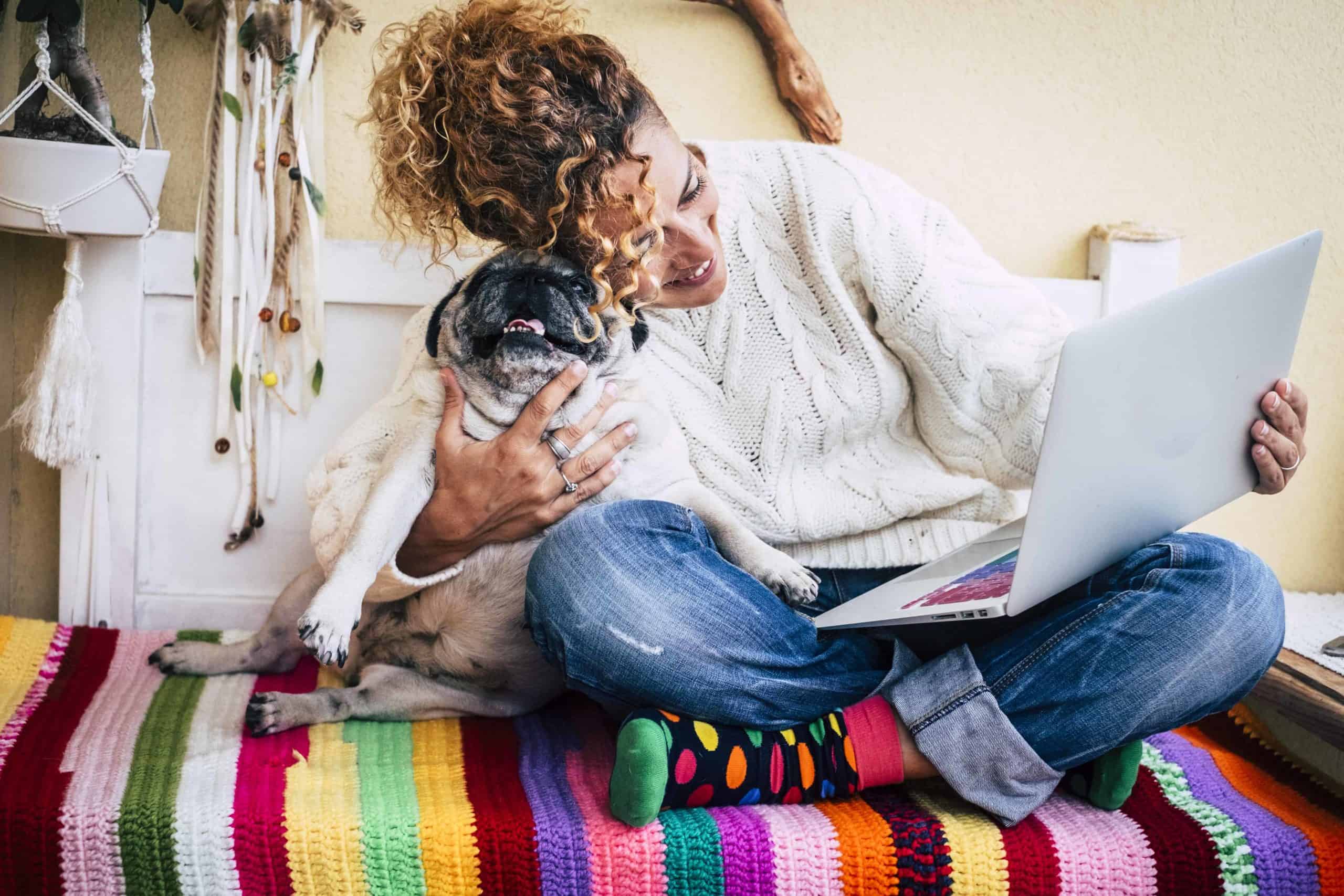 Woman holding laptop hugs French bulldog. Pet therapy helps reduce stress for college students.