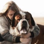 Woman hugs St. Bernard. If you're thinking of adopting one of the big dog breeds, check out our tips for practicing good safety habits to protect your dog.