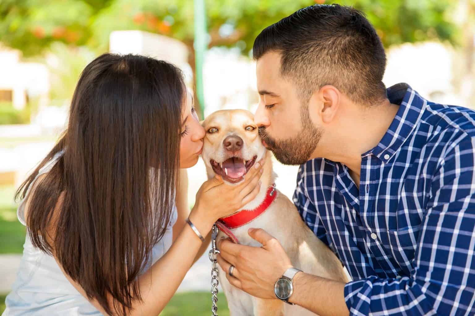 Couple kisses dog. It takes the average American four months and twenty days to find the right dog breed after visiting three or four shelters.