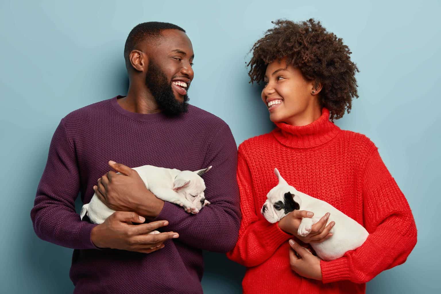 Loving couple gazes at each other while holding French Bulldog puppies. The best how we met stories include dogs that bring together dog lovers for their own happily ever after.