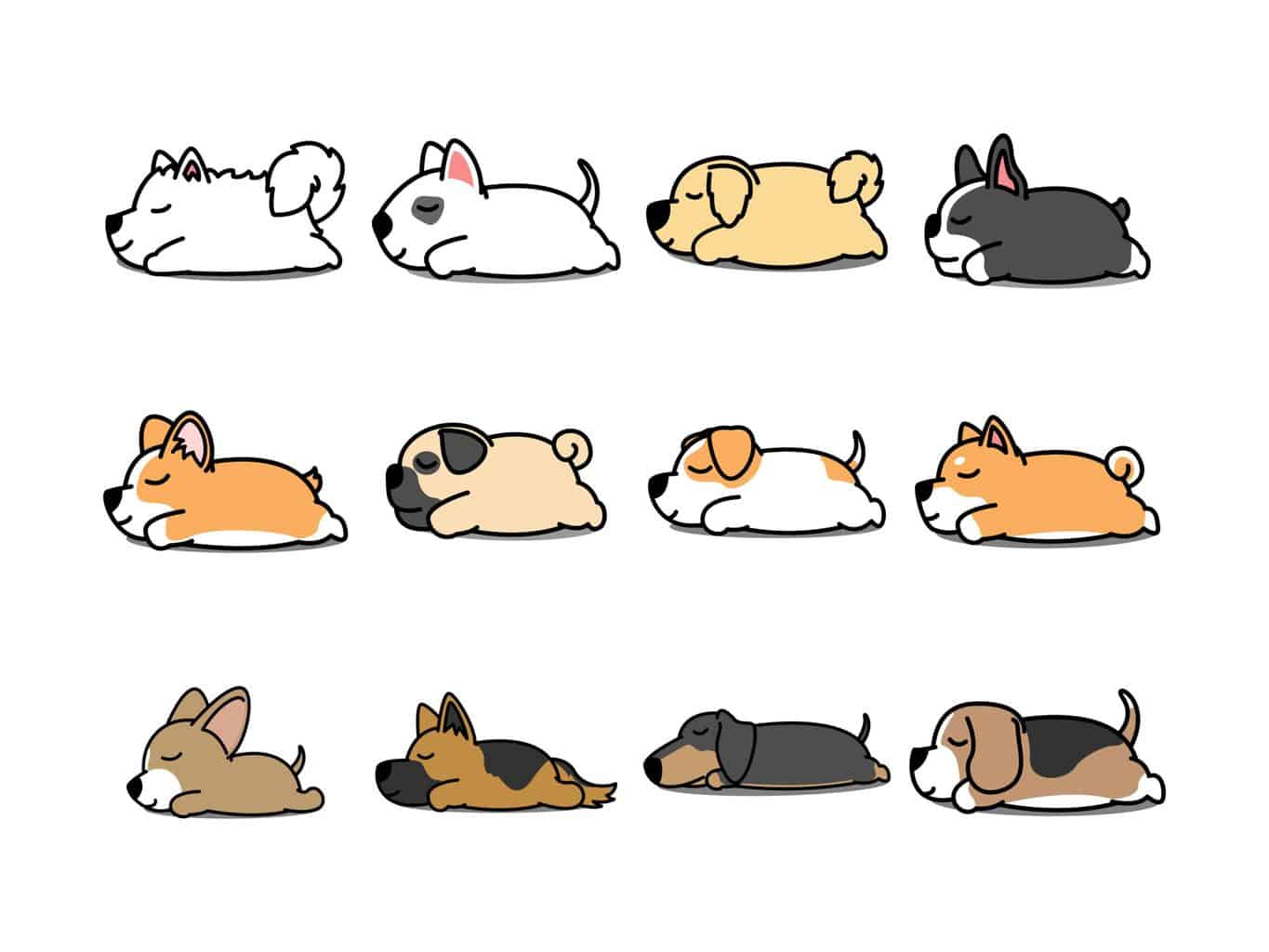 Graphic illustration of dog wag its tail while sleeping.