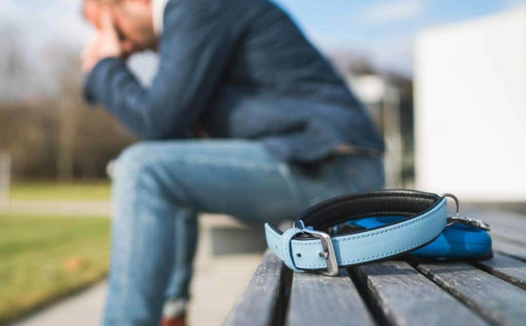 Man sits on bench near dog collar. Man copes with grief after dog dies.