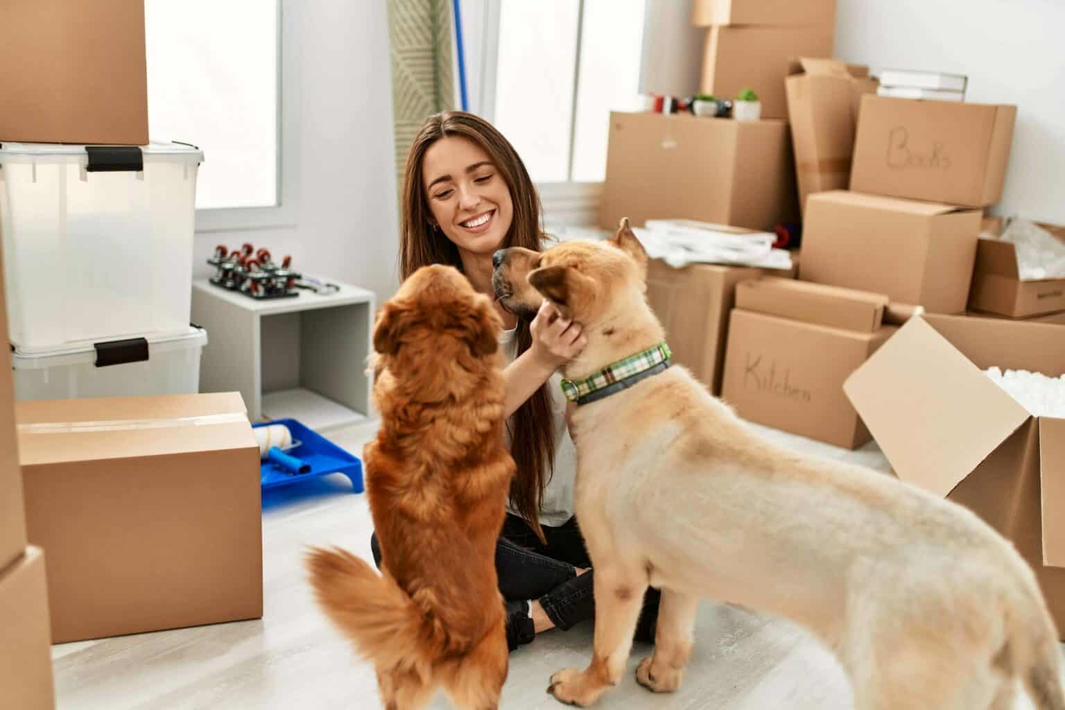 Woman plays with dogs while surrounded by moving boxes. Be patient after moving with dogs. Give dogs extra time and attention to help them adjust to your new living situation.