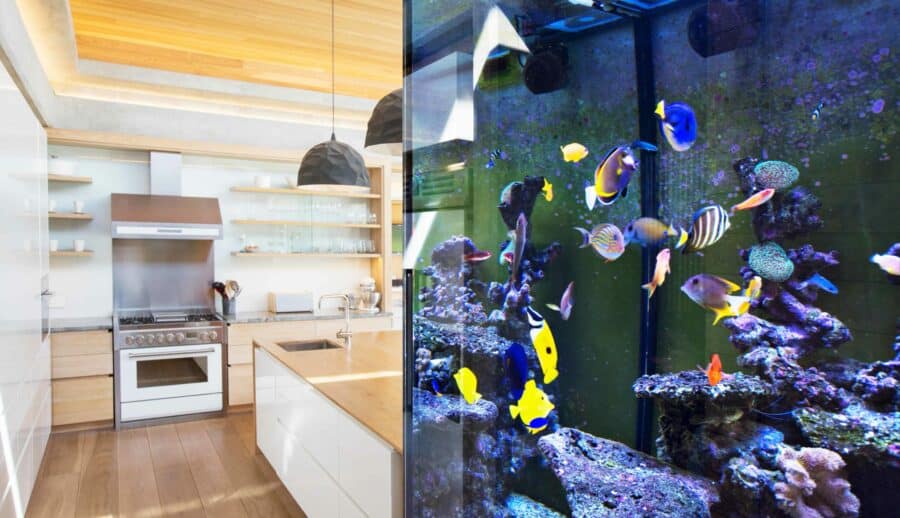 Aquarium full of colorful fish sits next to kitchen. Dog-proof your fish tank by keeping it covered and out of sight. Tire your dog out before you leave your dog home alone with your aquarium.