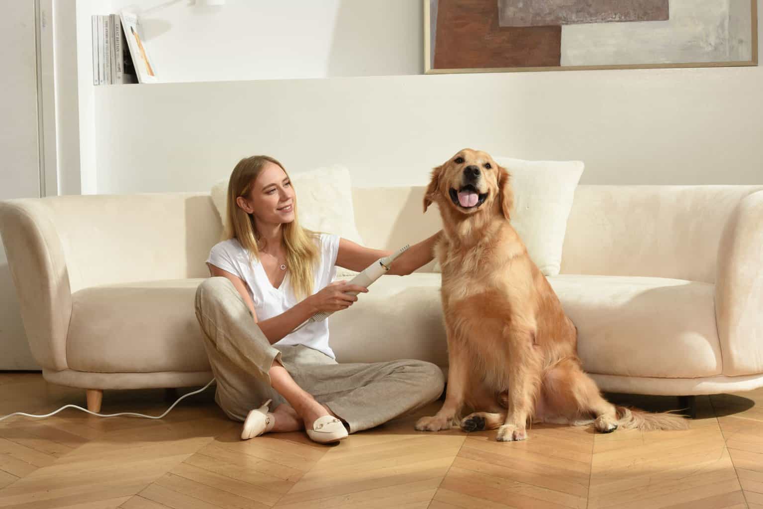 Woman uses Uahpet Fluffy pet dryer on a Golden Retriever. Using pet hair dryers dramatically reduces drying time for fluffy dogs like Golden Retrievers from hours to 25 to 40 minutes.