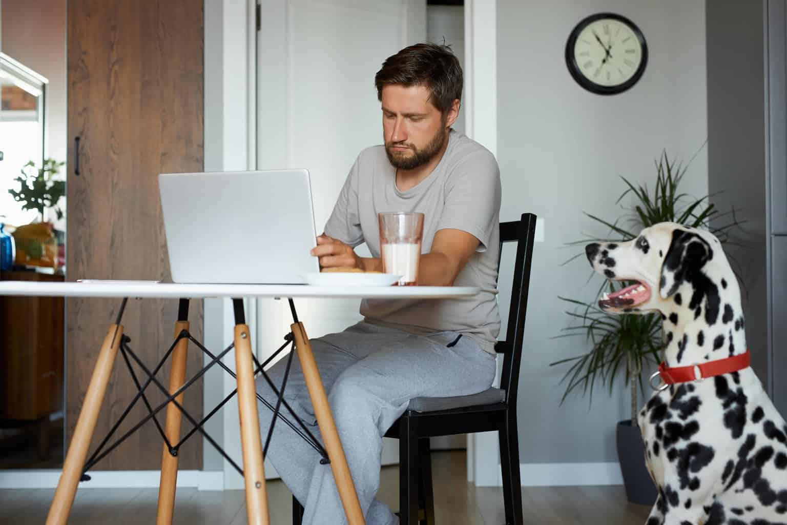 Male college student studies while Dalmatian watches. Dogs make college students healthier. Having a dog reduces stress by encouraging owners to enjoy fresh air and exercise outside.