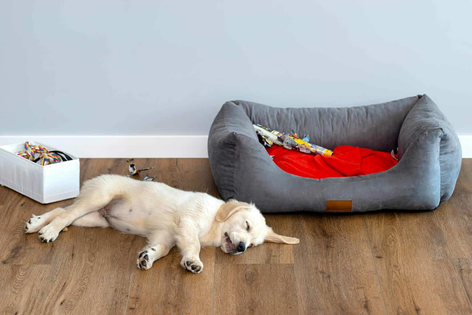 https://dogsbestlife.com/wp-content/uploads/2022/07/dog-toy-storage-bed-scaled.jpeg