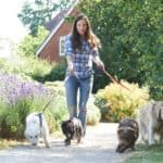 Woman walks four dogs. Owning a dog walking business, or any pet-based business, is a great way to monetize your love of animals.