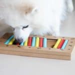 Fluffy white dog plays with dog puzzle toy. Interactive dog toys help stave off boredom and keep dogs sharp and engaged, making for a happy and healthy pup.