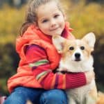 Young girl cuddles with corgi puppy. Prepare your kids by teaching them what to expect and what changes must happen before you bring the new puppy home.
