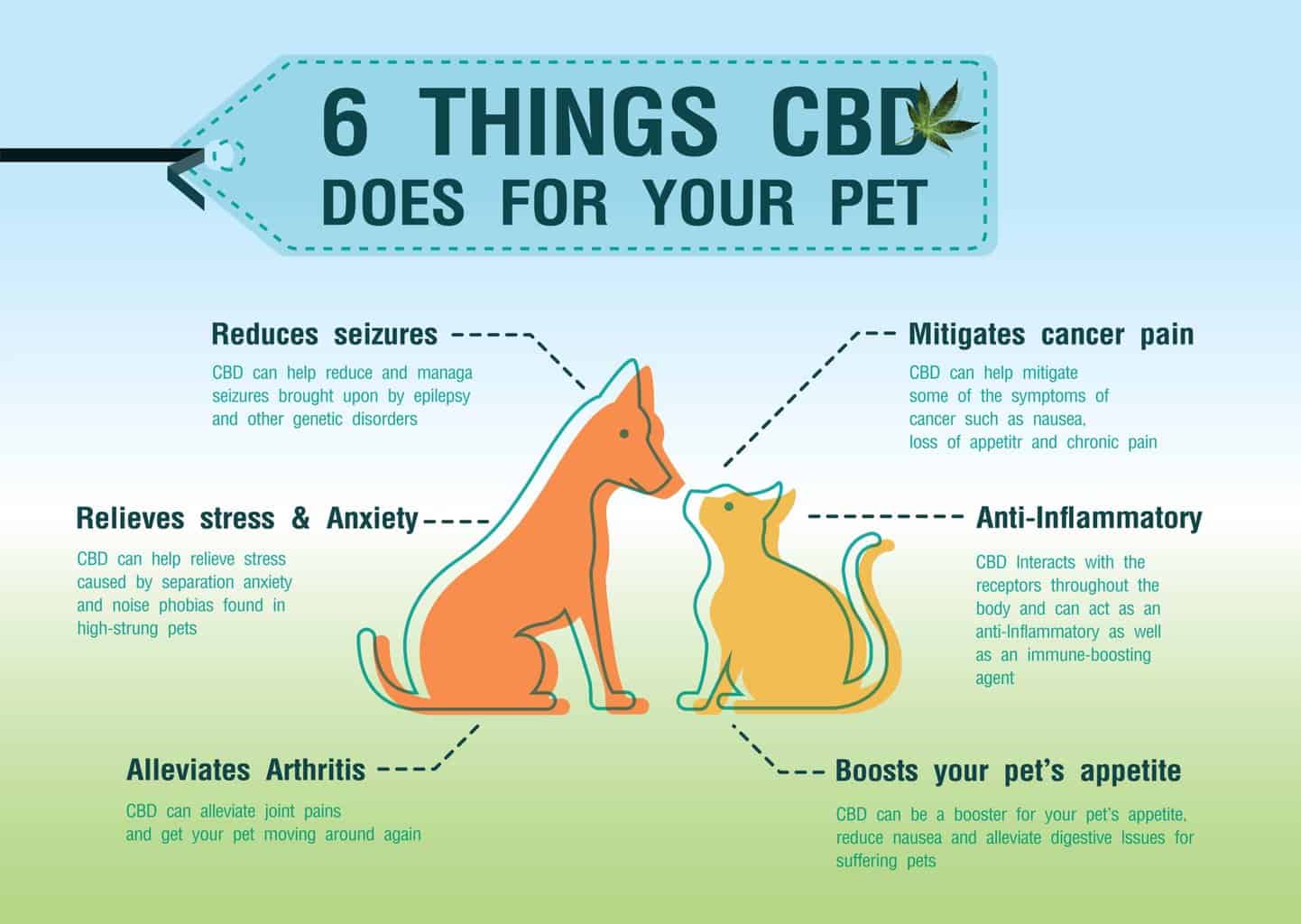 Cannabis for dogs graphic
