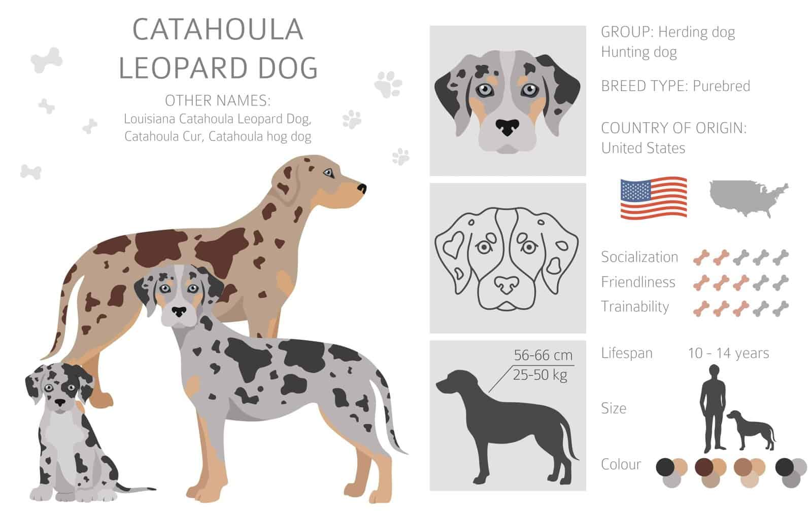 Catahoula Leopard Dog graphic