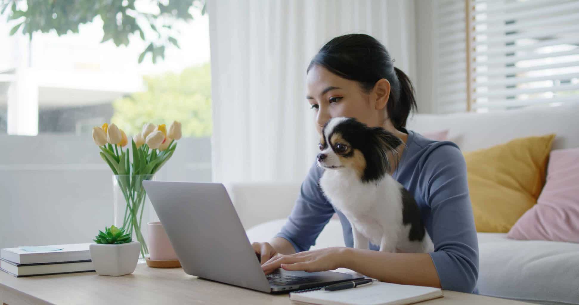 Female college student works on laptop while holding her Papillion. When college students adopt dogs they ease depression, prevent anxiety, reduce stress, and improve their cardiovascular health.