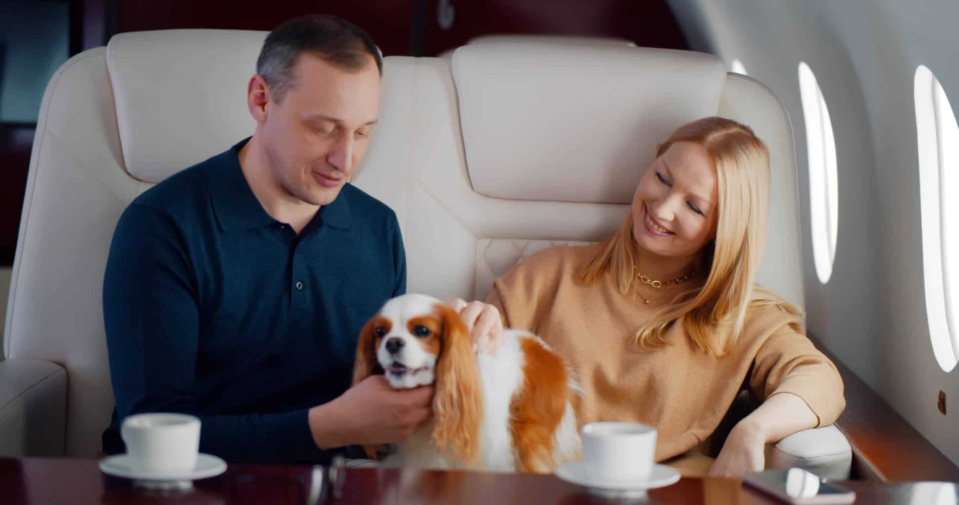 Couple travel on private jet with cavalier king charles spaniel. When you plan a luxury holiday, choose a dog-friendly location, pack extra food and take a blanket to keep your furry friend warm.