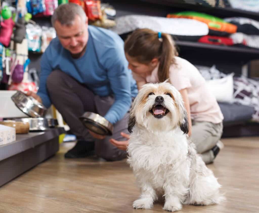 Happy dog at pet store. Consider your dog's size, breed and age when choosing and buying essential products to keep it healthy and happy.