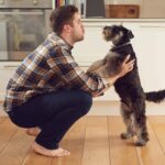 Man talks to schnauzer. If your dog doesn't listen to you, it may be a training issue or an underlying health condition. Understand the problem to find a solution.