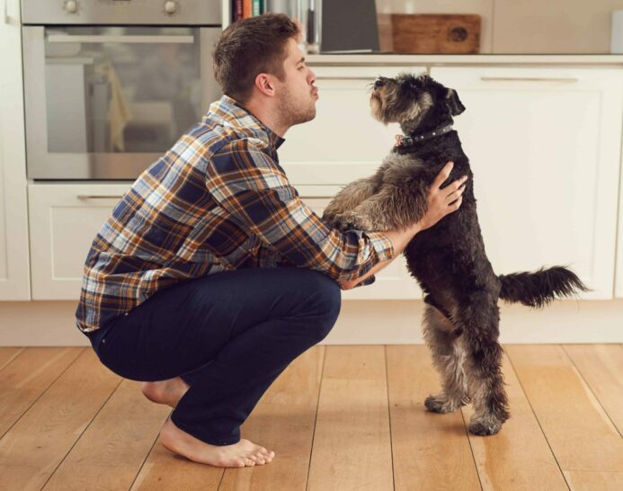 Man talks to schnauzer. If your dog doesn't listen to you, it may be a training issue or an underlying health condition. 