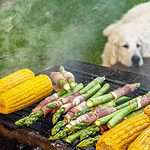 Dog watches while the asparagus is grilled. Before adding nutrient-rich fruits and veggies like asparagus to your dog's diet, be aware that not all human foods are safe for dogs.