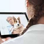 Woman uses virtual veterinary care for her dog. Try virtual veterinary care: talk to your vet first, use the right tech, prepare for the appointment, and follow up.