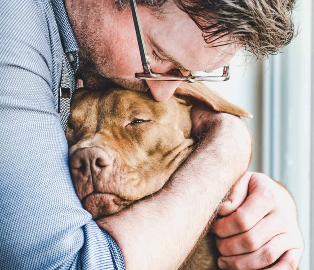 Man hugs older dog. Take steps to relieve canine arthritis discomfort by giving your dog regular vet checkups, cozy beds, massage therapy, and a safe home.