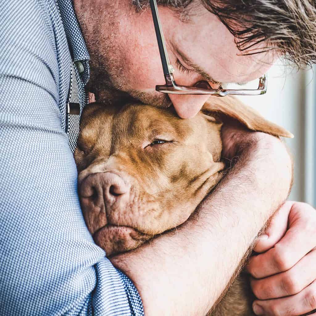 Man hugs older dog. Take steps to relieve canine arthritis discomfort by giving your dog regular vet checkups, cozy beds, massage therapy, and a safe home.