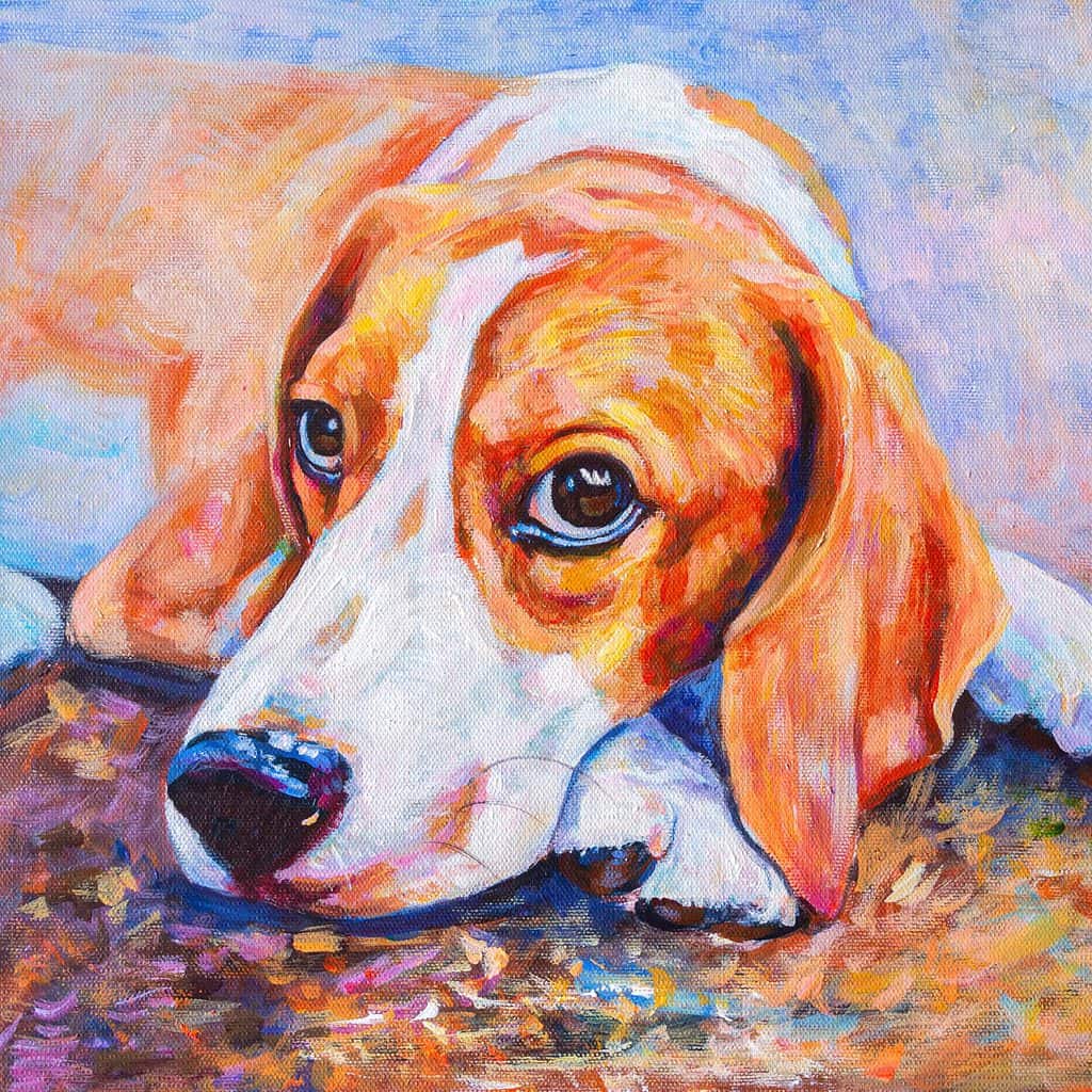 This painting of a beagle is an example of a custom pet portrait.