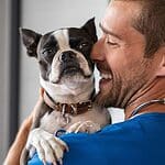Vet cuddles Boston Terrier. Protect your pet with Spokk animal insurance, which covers vet visits, exams, medications, vaccines, microchipping, and laboratory testing.