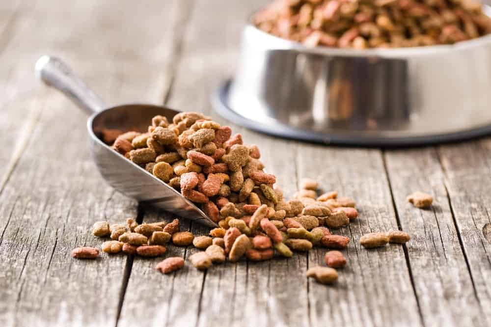 Photo illustration of dog kibble. After determining your dog's caloric needs, it's time to manage their intake. Understanding the right amount of food per mealtime is critical to effective weight management.