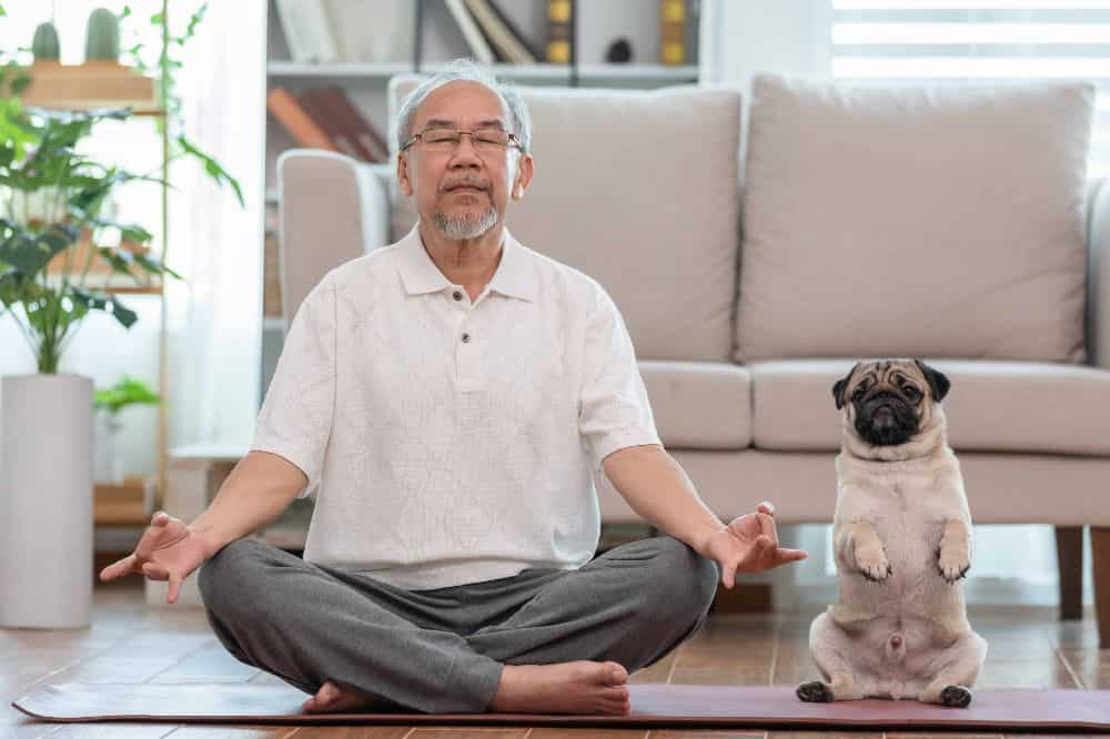 Man does Yoga with pug. Finding a loving home for your pup after your death doesn't need to be complicated. Reach out to someone close and ask them if they would consider taking care of your pup temporarily or permanently.