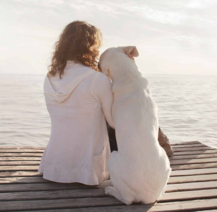 Dog leans against the owner as they watch the sunset from a dock. Leaning is a common sign of affection from dogs. 