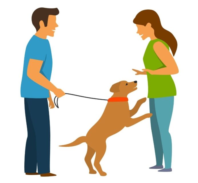 Stop jumping graphic. Stop jumping. Don't let your dog embarrass you or put anyone in danger — learn the tools and strategies to end this bad habit effectively.