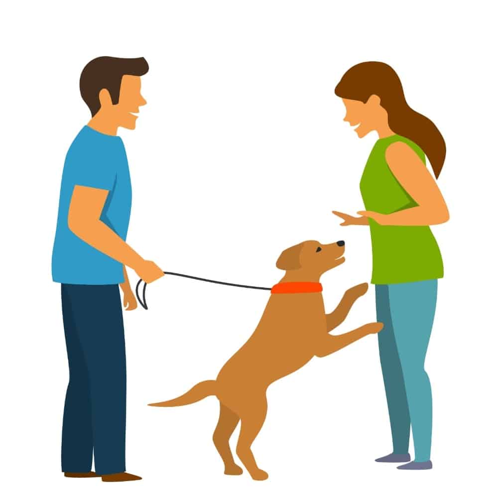 Stop jumping graphic. Stop jumping. Don't let your dog embarrass you or put anyone in danger — learn the tools and strategies to end this bad habit effectively.