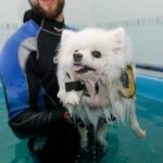 Use our guide to canine hydrotherapy to keep your furry friend healthy and happy with safe and effective water treatments.