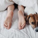 Sleeping with your dog provides comfort, but it's important to consider the potential risks and benefits. Explore both sides of the debate.