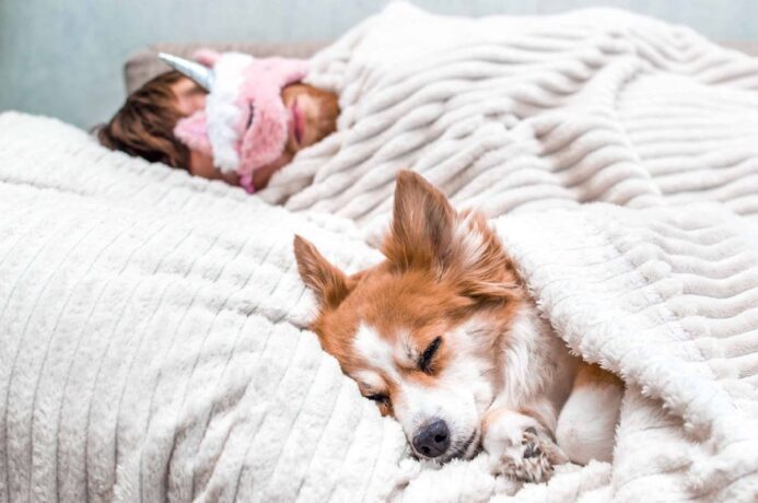 Cuddle up with your pup and strengthen your bond. 