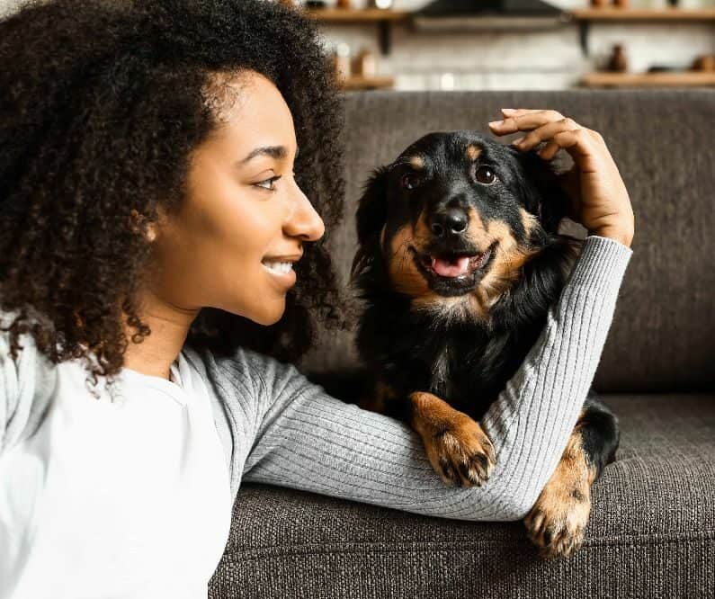 Owner pets dog on the couch. Dogs that feel anxious may be more likely to exhibit seat-stealing behaviors. Your dog might feel extra secure when surrounded by your scent; plus, it knows there's a good chance you'll return to your favorite spot soon.