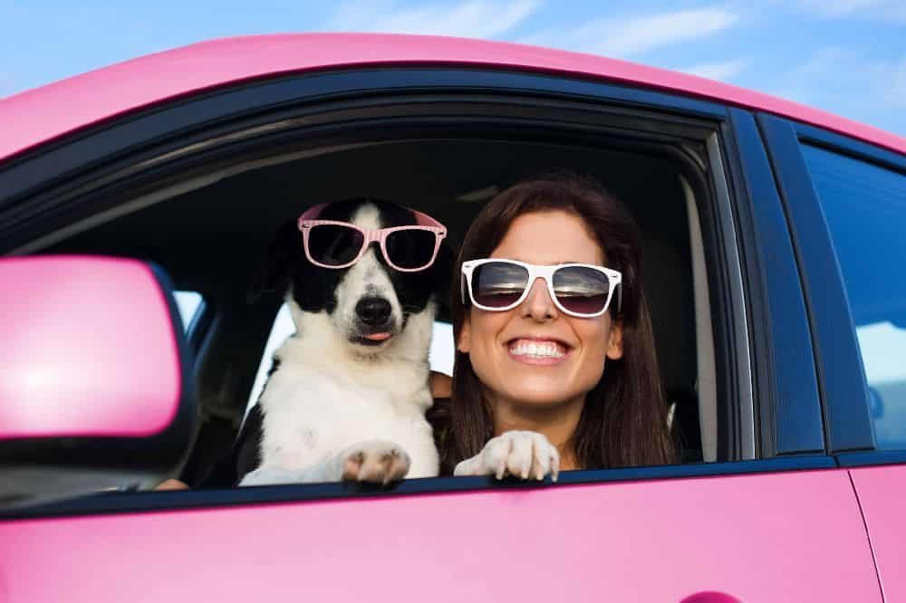 Woman poses with dog in a pink car. Adopting a dog as a single person can be rewarding if you have the lifestyle and availability to care for your pup.