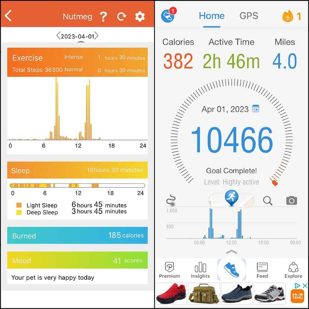 Photo illustration showing a comparison of the dog activity tracker with the human step counter.